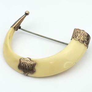 Antique Brooch 9ct Gold Boar Tusk