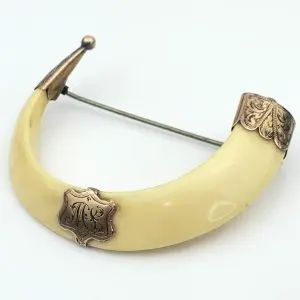 Antique Brooch 9ct Gold Boar Tusk