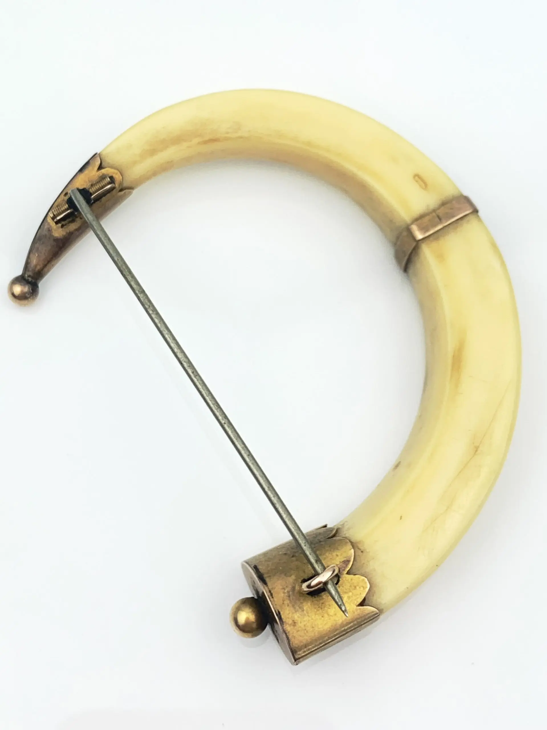 Antique Brooch 9ct Gold Boar Tusk - Image 4